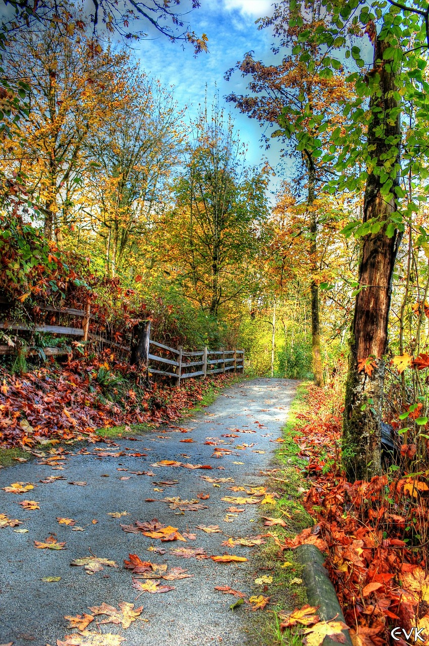 Octobre, le mois idéal pour déménager ?